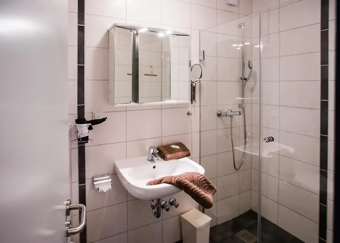 弗利恩沃南拉奇普林斯霍夫酒店 *