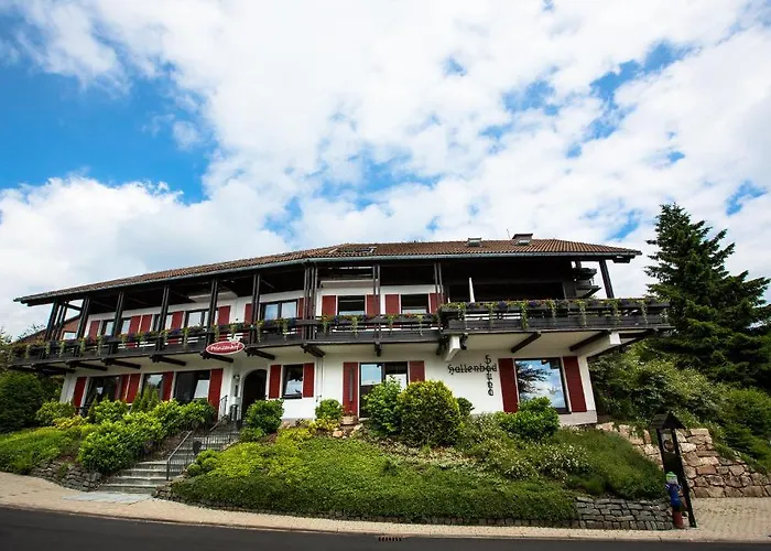 Ferienwohnanlage Prinzenhof Daire Sankt Andreasberg