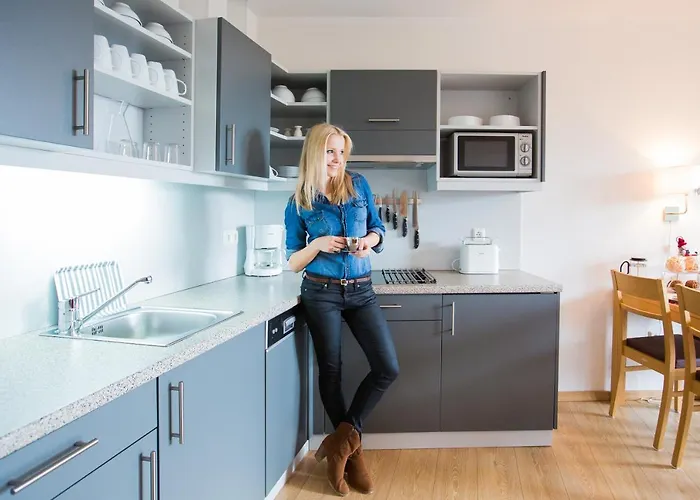 弗利恩沃南拉奇普林斯霍夫酒店 公寓 *