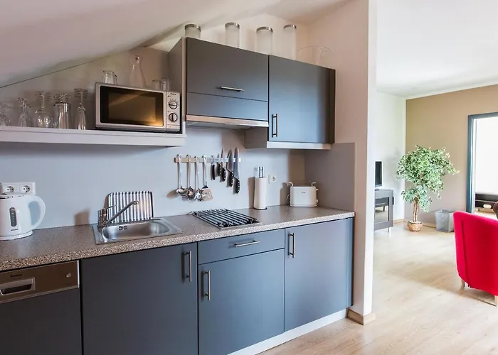 公寓 弗利恩沃南拉奇普林斯霍夫酒店